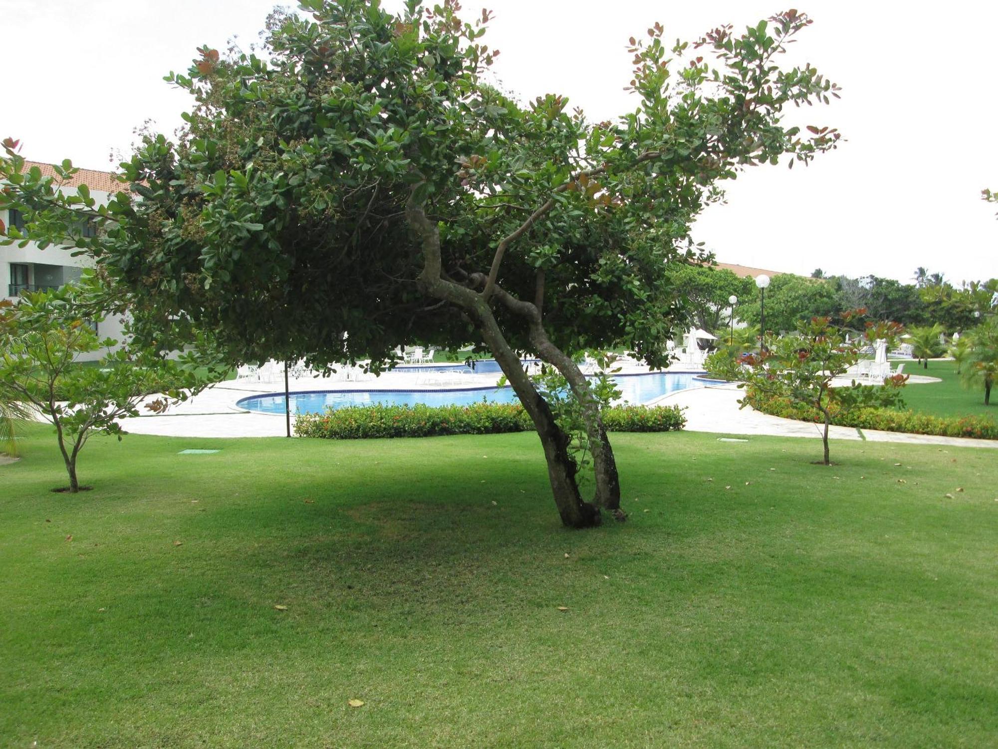 Carneiros Beach Resort Прая-дос-Карнейрос Экстерьер фото